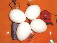 ������� "���������" �����������