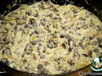 ����� � ������ ����� �����������