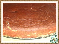 ���������-��������� ���� � ������ �����������