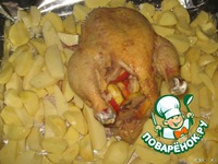 ������, �����e���� � �������� "�����-�������" �����������