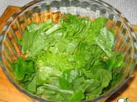 ����� � ������������ � ������������ ����� �����������