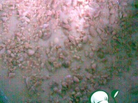 ���� "������" �����������