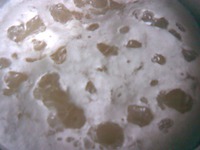 ������� ������� � ��� "�������" �����������