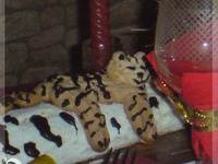 ������ �������� �������� �����������