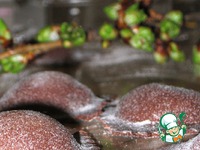 ������� ��������� ������� �����������