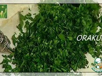 ����� � ���������� �����������