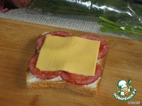 �����-��������� �����������