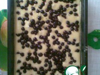 ����� ��������� �����������