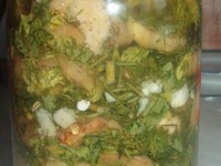 ������� �� ���������� (�2 ) �����������