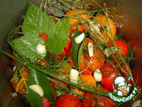 �������� ����������� �����������