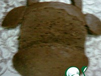 ���������� ���� "������� �����" �����������