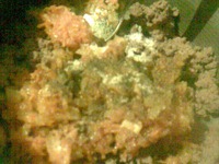 "�������� ������" � ������������ ��������� �����������