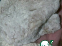 ������ ������ � ���� �����������