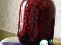 ������� �������� �����������