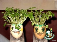 ������� ������� �����������