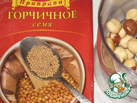 ���������-�������� ������� � �������� �����������