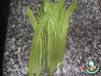 ������� ������� ������ � ����� �����������