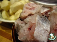 ���� � ������ �����������