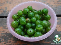 ������ � ����������� �����������