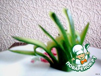 ��������� ����� �� ������ �����������