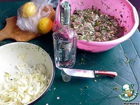 ������ �����������