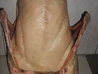 ������� ������ �����������