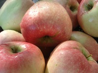 ������ ���e��� "�����������" �����������