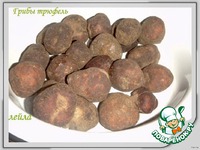 ���� � �������� � ����� � ������� ������ �����������