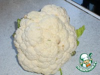 ��������� � ������� �������� �����������