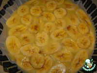 �����-���������� � �������� � ��������-����������� ������ �����������