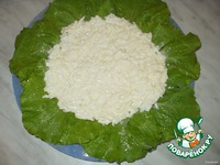 ����� "��������" �����������