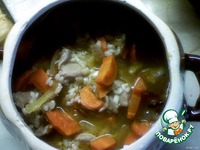 ���� � �������� �����������