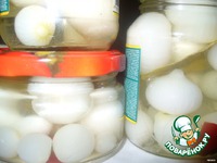 ������������ ��������� ��� �����������