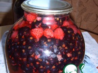 ������ "����������" �����������