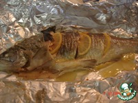 ������ � ����� "1000 ��������" �����������