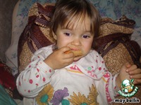 �������� �����������