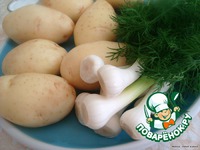 ������� ��������� �����������