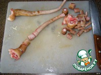 ����� "���������" ������������� �����������