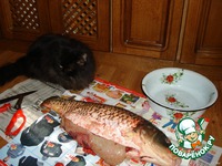 ���� � ����� �������� �����������