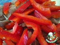 ������������ ������ ����� �����������