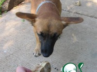 �������  "���������" �����������