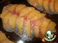 ���� "������" �����������