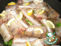 ����� "���������" �����������