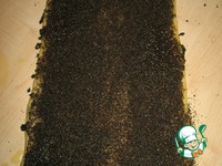 ������� � ����� �����������