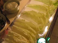 ������������� ��������� ������� "������� �����" �����������