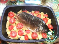 ���� "�����������" �����������