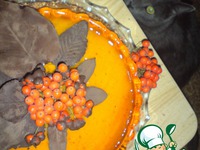 ���� ����������� �������� �����������