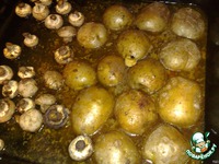 ������ �����+������ �����������