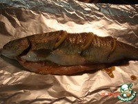 ������ � ����� "1000 ��������" �����������