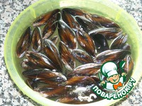  &quot;a bulhao pato&quot; 